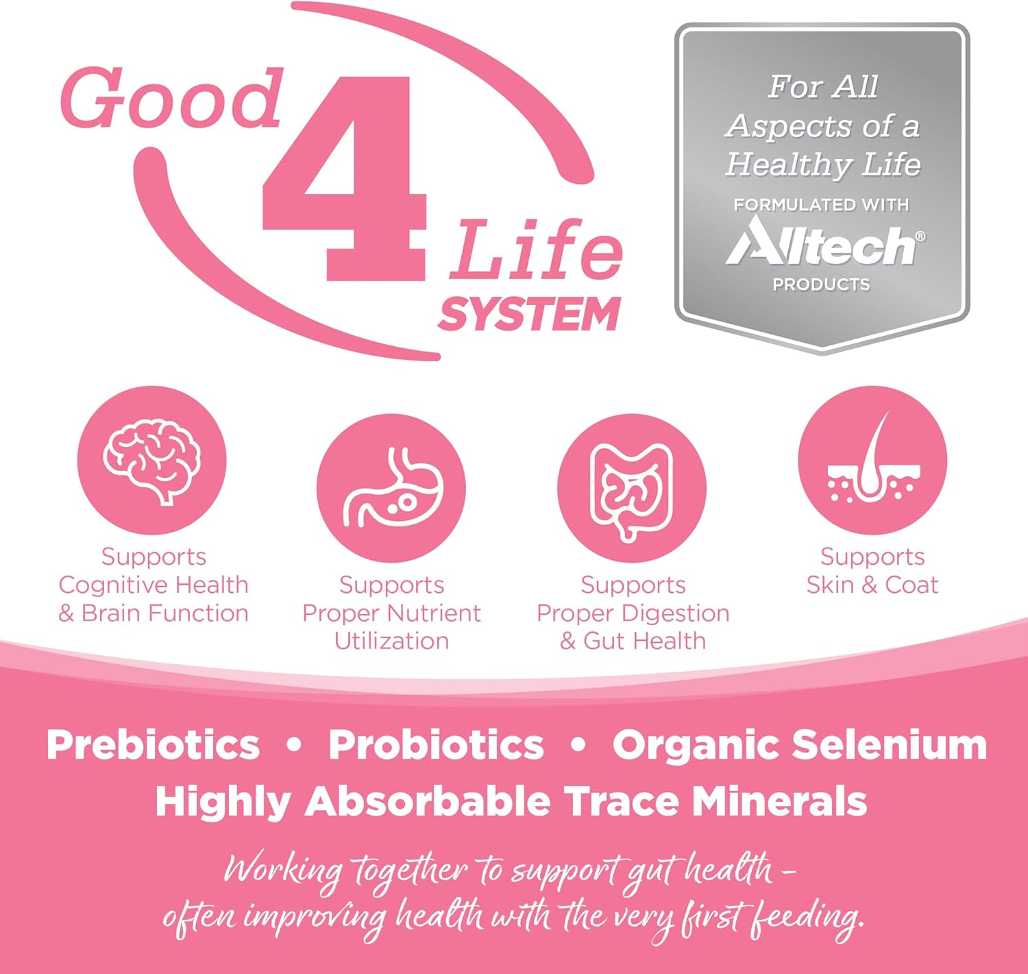 NutriSource Pure Vita Limited Ingredient Grain Free Dry Dog Food, Salmon and Peas, 12LB