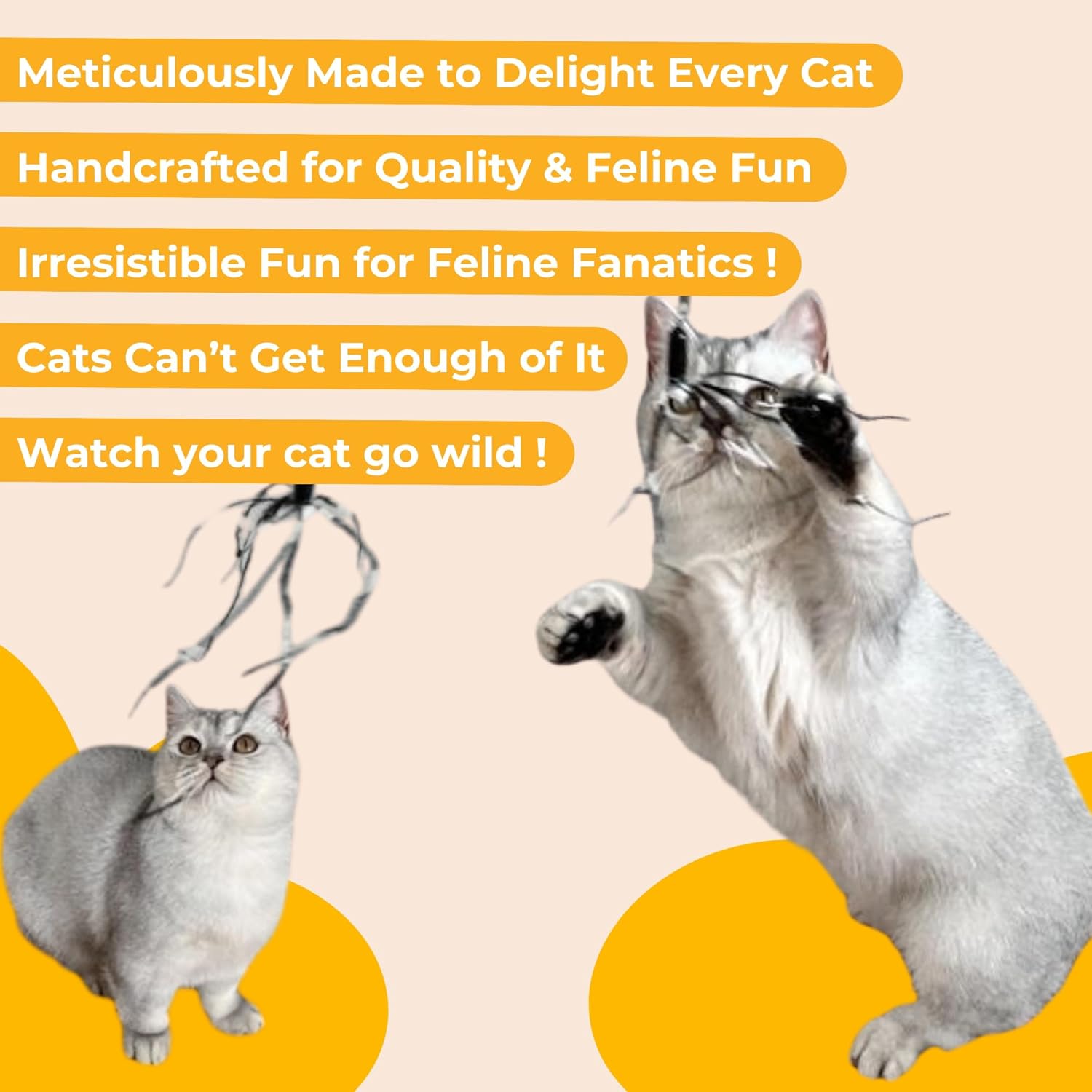 Cat Wand 38" - Retractable Cat String Toy with Spider Teaser and Refill, Perfect Interactive Toy for Indoor Cats and Kittens