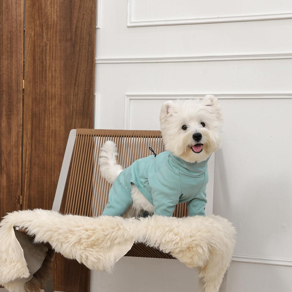 Small Dog Pajamas for Boys & Girls, Soft Dog Recovery Suit with Back Zipper & Adjustable Drawstrings, Long Sleeve Anti-Licking Pjs Shedding Suits for Chihuahua, Yorkshire Terrier, Green XS