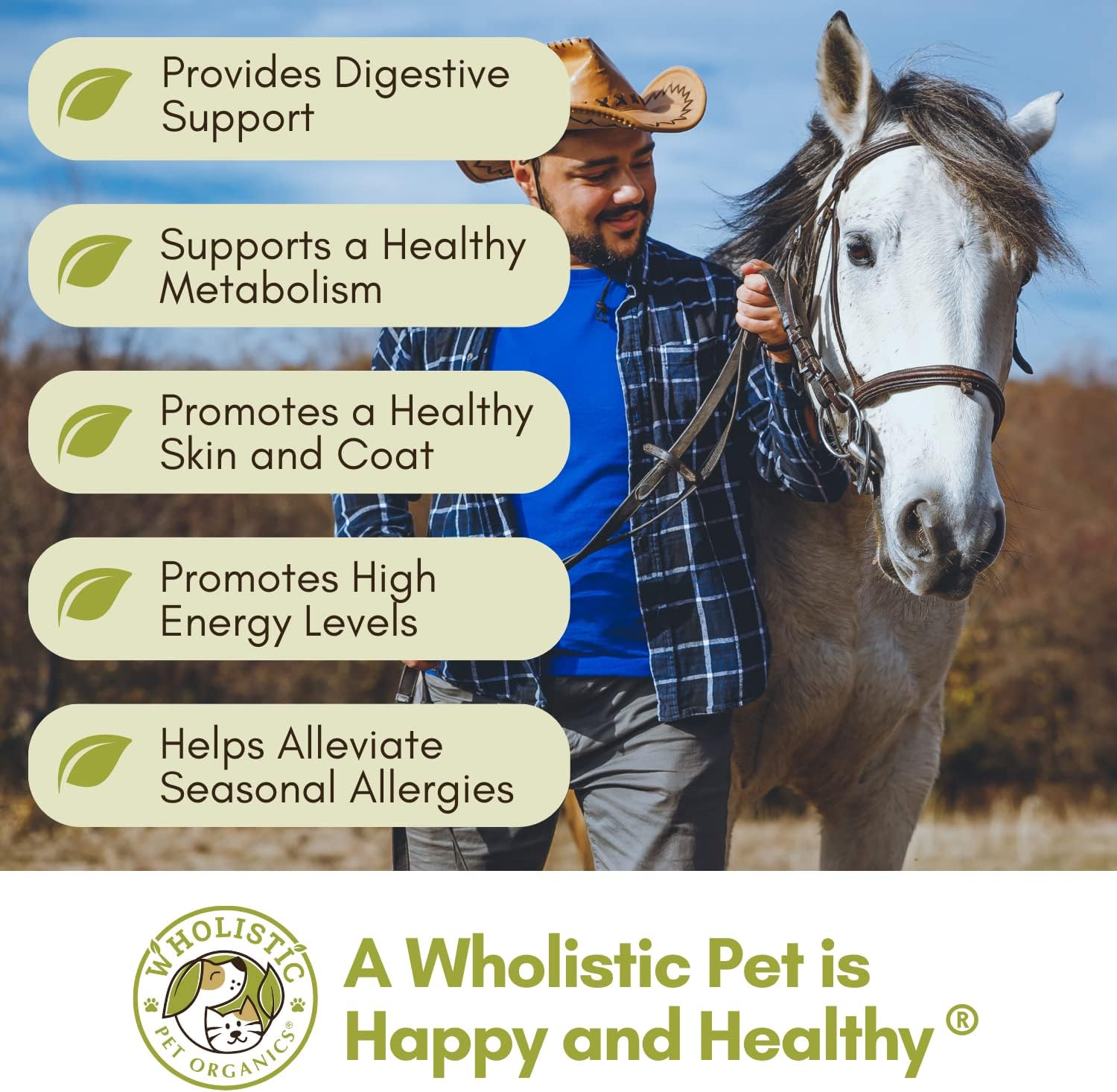 Wholistic Pet Organics Equine Complete: Horse Multivitamin for Total Body Health - Horse Supplement with Vitamins, Minerals, Prebiotics, Probiotics, Antioxidants and More - 4 Lb