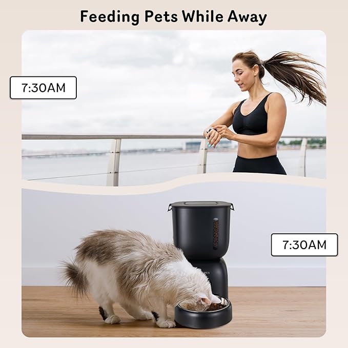 Automatic Cat Feeder and Water Dispenser FW1, Wire or Battery Cat Food Dispenser Timer Pet Feeder - Locking Lid, Desiccant Bag, Programmable Portion Control, 4 Daily Meals, 10s Voice Recorder