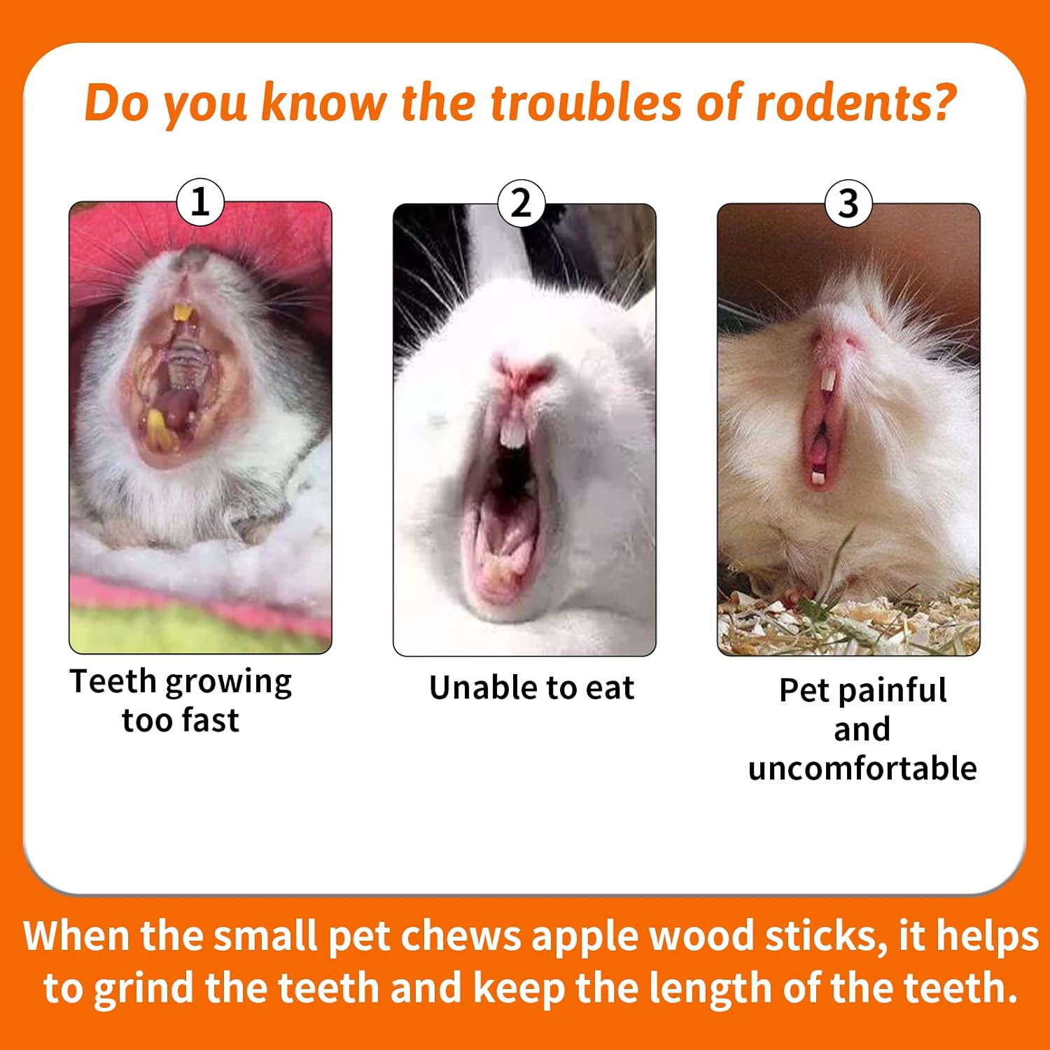 Fhiny 12 PCS Guinea Pigs Chew Toys, Natural Apple Branch Seagrass Molar Sticks for Teeth Bunny Chew Toys Cage Accessories for Guinea Pigs Rabbit Bunny Hamster Chinchilla