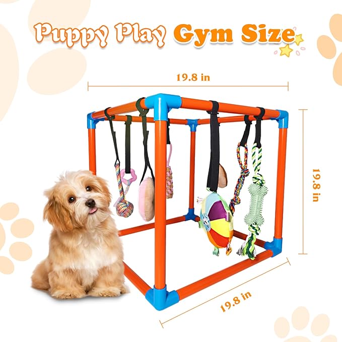 Puppy Play Gym with 8 Hanging Toys – Removable Dog Enrichment Playground, Indoor Jungle Gym & Activity Center for Small Dogs, Adjustable PVC Frame with Bungee Straps and Squeaky Toys