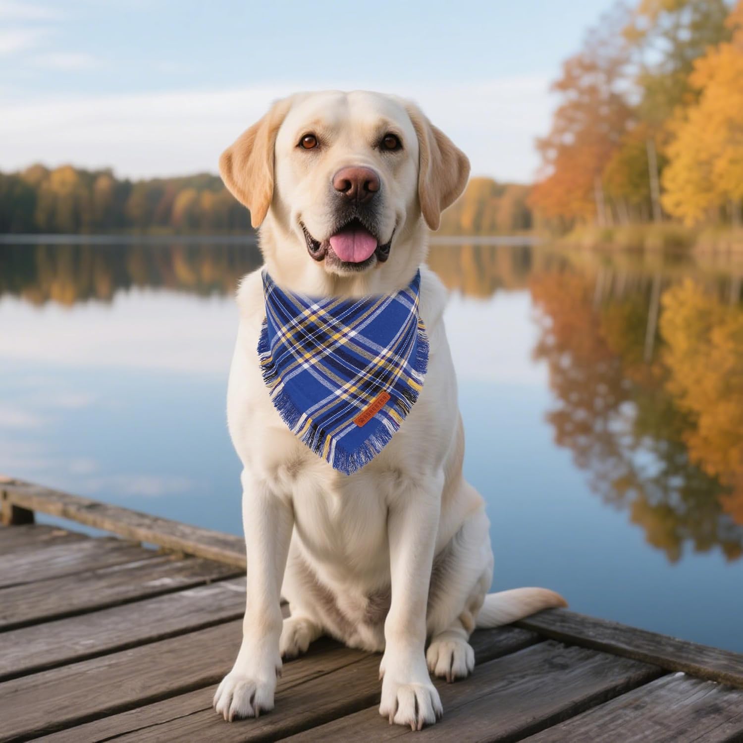 ADOGGYGO Dog Bandanas Boy with Tassels Edges, Stylish Blue Plaid Pet Scarf, Soft Cotton Fabric, Adjustable Reversible Plaid Bandanas for Medium Large Dogs (Large)