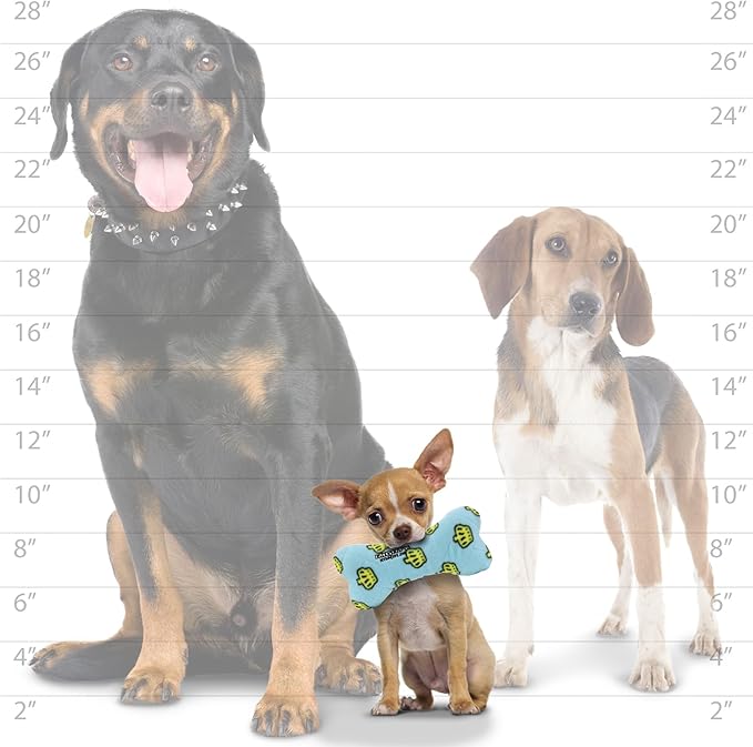 MIGHTY- NO Stuff Bone– Squeaky Plastic Core. 2-in-1 Toy. Made Durable, Strong & Tough. Interactive Play Dog Toy (Tug, Toss & Fetch). It Floats. (Blue, Medium 2 Pack)