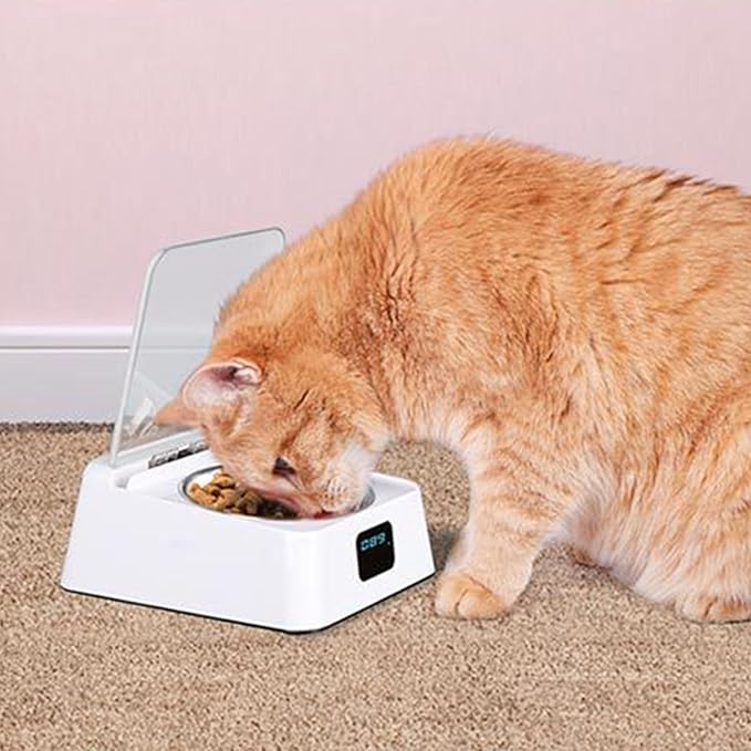 Automatic Open Dog Food Bowls Stress Pet Feeder with Clear Cover Sensing Automatic Feeding Bowls