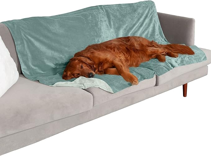 Furhaven Waterproof Throw Blanket for Dogs & Indoor Cats, Washable - Two-Tone Luxe Velvet Dog Blanket - Celadon Green, Extra Large/XL
