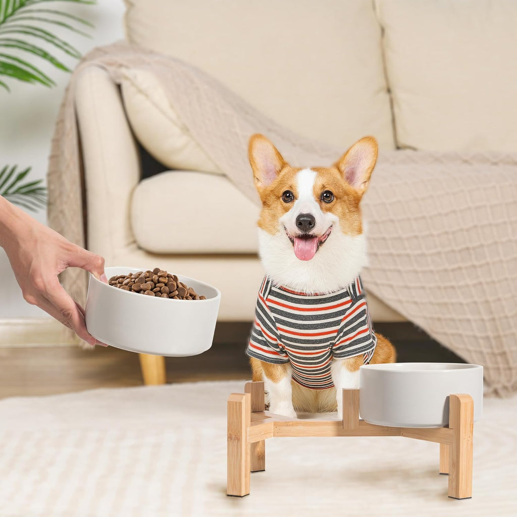 Elevated Ceramic Dog Bowl Set - Raised Dog Bowls with Non-Slip Bamboo Stand - Dog Food and Water Bowl Set - Double Dog Feeding Bowls - Suitable for Small and Medium Dogs - 28.74 OZ - 3.6 CUPS - 850 ML
