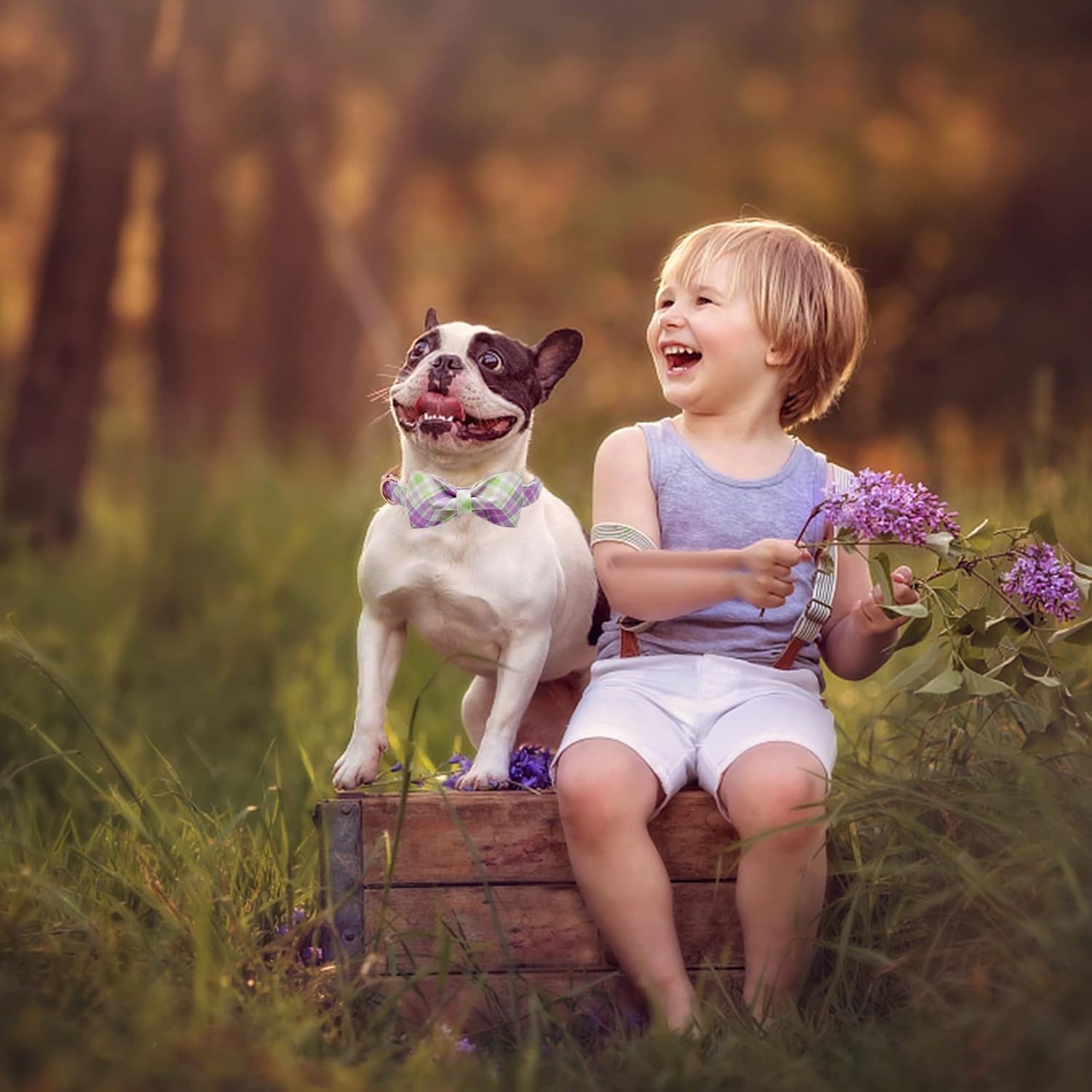 Elegant Plaid Collar With Cute Bow for X-Small Puppy and Cat