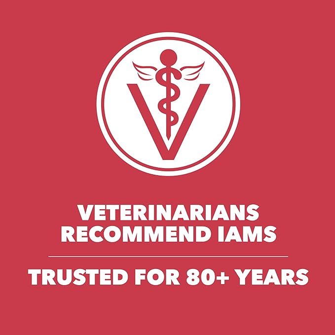 IAMS Proactive Health Minichunks Adult Dry Dog Food with Lamb & Rice, 30 lb. Bag