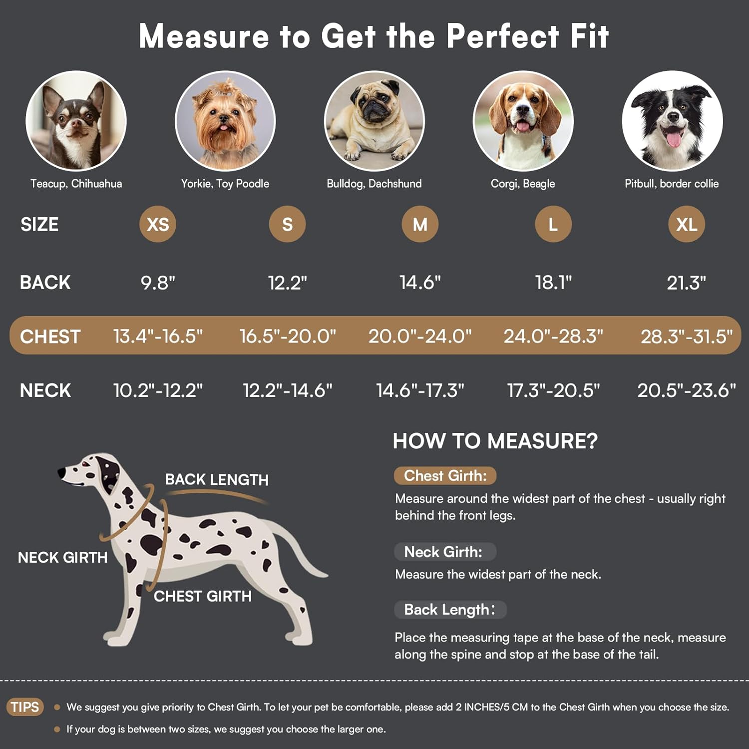 Queenmore Warm Dog Coat, Cold Weather Puffer Dog Coat Vest, Quilting Winter Pet Jacket Ultra Thick Plush Fleece Lining Pet Clothes for Dogs with Storage Pockets (Light Blue, Small)