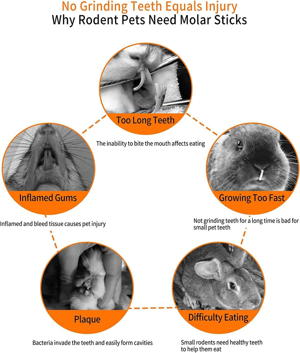 600g Apple Sticks Molar Wood Treats, Rabbit Toys Chinchilla Guinea Pig Bunny Toys Wood Chews Sticks for Teeth Rabbit Food Guinea Pig Hamster Gerbil Chews Small Animals Snacks(150 Pcs)