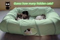XxingSheep 4 Ways Shuttled XL Cat Tunnel Bed for Indoor Cats Peekaboo Cat Cave Donut with Cool Mat (Green)