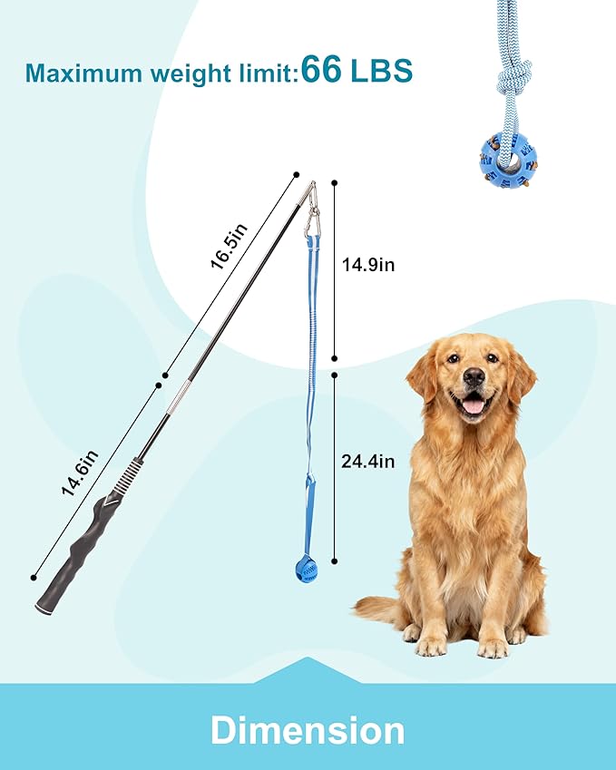 Flirt Pole for Dogs, Durable Dog Flirt Pole for Large Medium & Small Dogs, Interactive Dog Pole Toy with Rubber Ball for Outdoor/Indoor, Training, Chase, Tug of War 31 inch