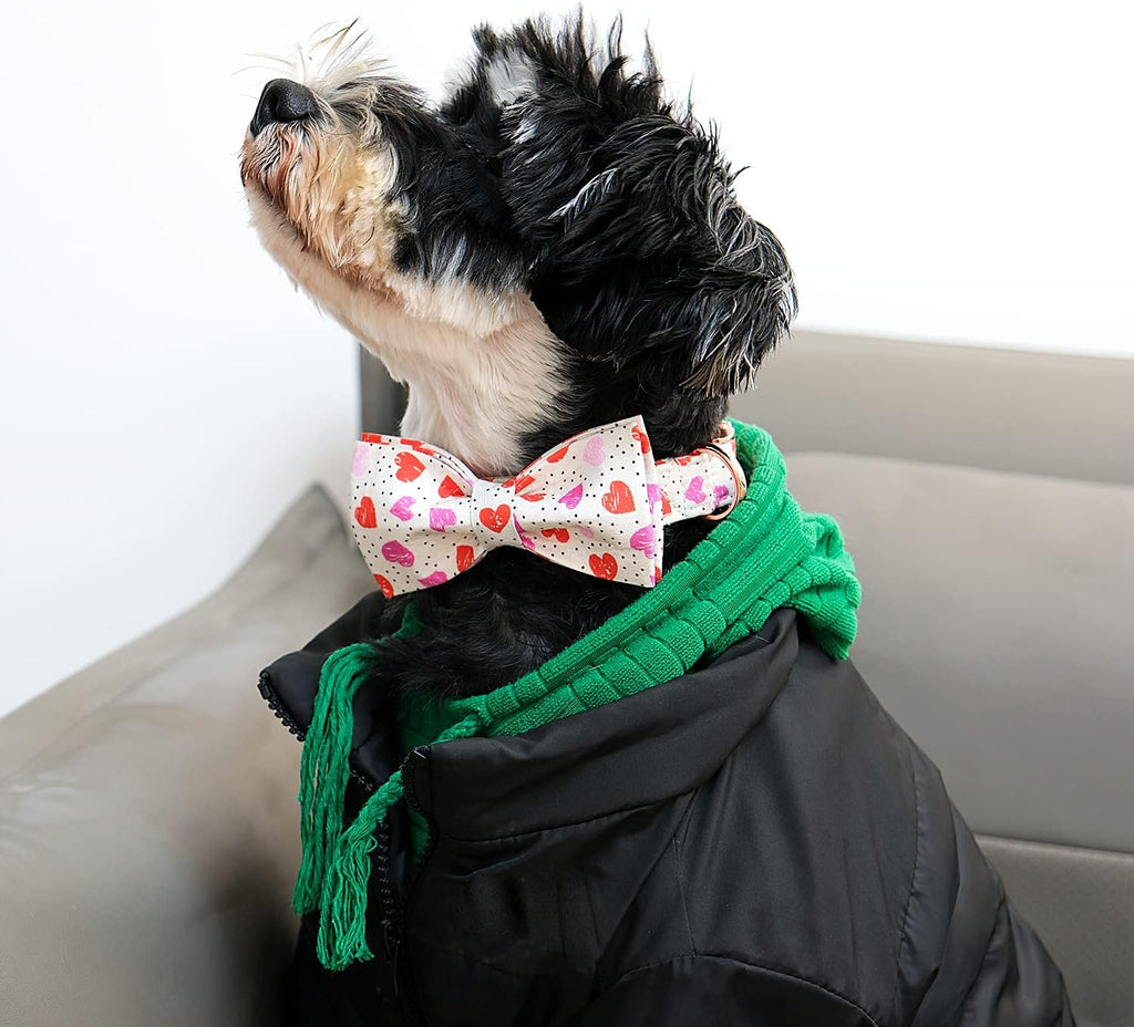 Lionet Paws Valentines Day Dog Collar with Bowtie, Dog Bowtie Collar with Metal Buckle for Dogs, Adjustable Comfortable Dog Collar Girl Boy, S, Neck 10-16 in