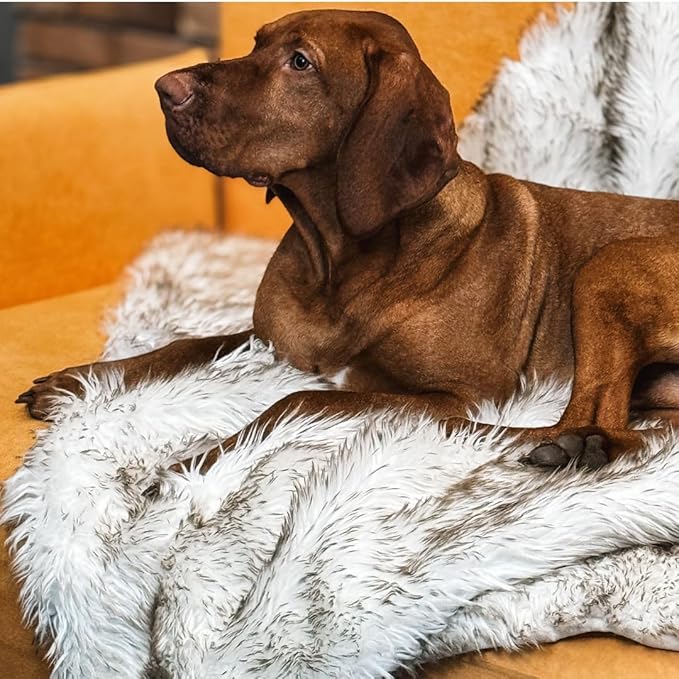 Waterproof Dog Blanket for Small, Medium & Large Dogs – Faux Fur Pet Throw for Couch, Sofa, Bed & Car – Soft, Washable, Stain-Resistant, Durable Cover – White w/Brown Tips – 60" x 50"