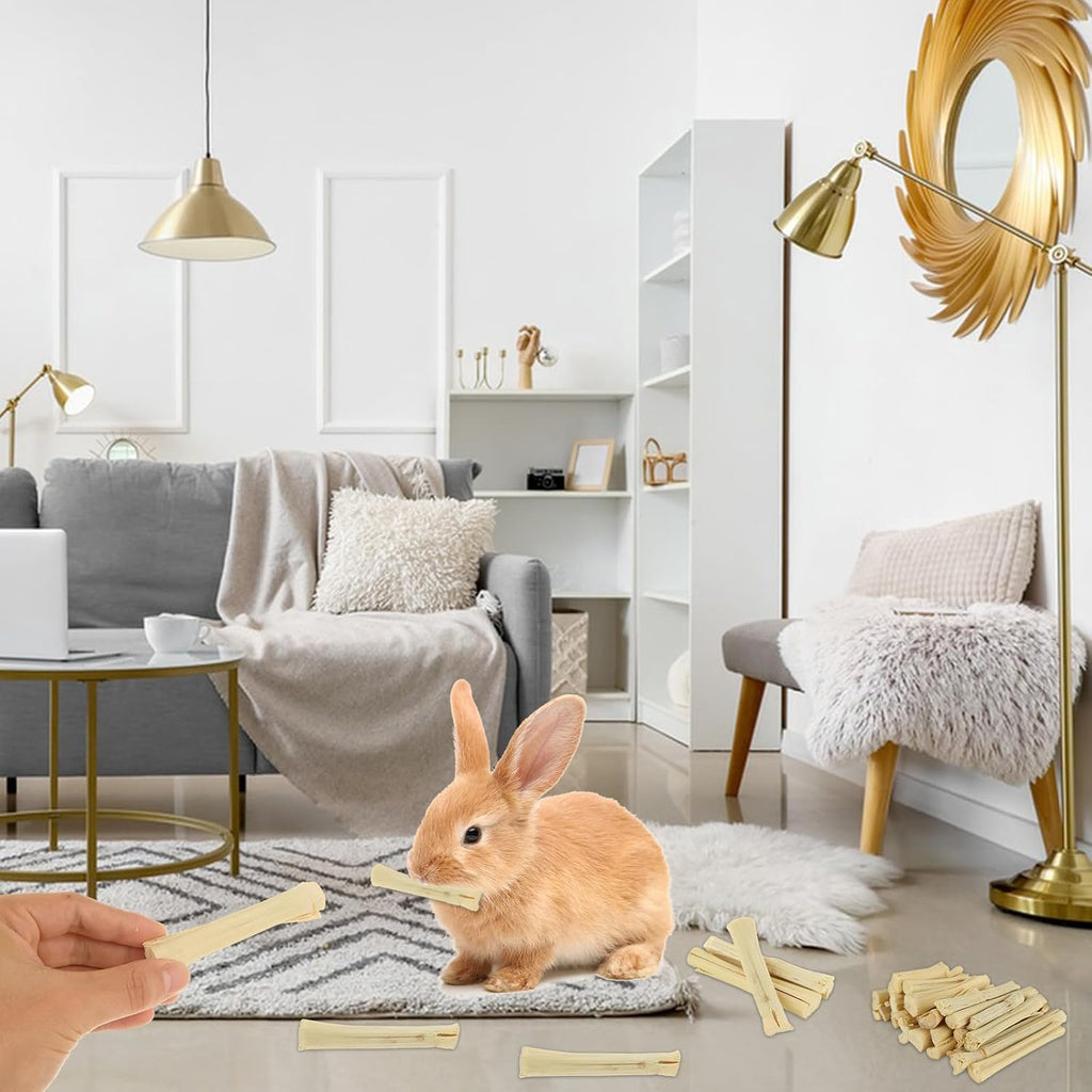 1000g/2.2lb Sweet Bamboo Sticks for Rabbits, Guinea Pig Chew Toys Bunny Toys for Rabbits Indoor, Teething Toy for Small Animals Rabbits, Hamsters, Chinchillas, Guinea Pigs