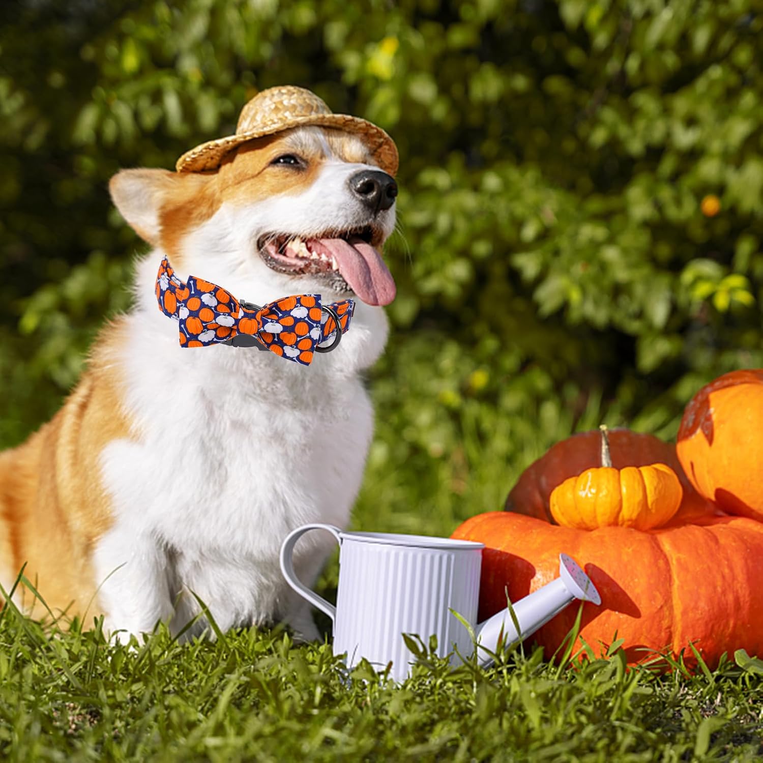 Unique Style Paws Halloween Day Dog Collar with Bow Bone Pumpkin Cotton Dog Collars for Small Medium Large Dogs