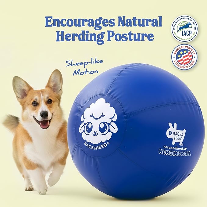 Race&Herd 18" Original XXL Herding Ball for Dogs - Herding Toys, Giant Dog Ball for Australian Shepherds, Border Collies - Durable Dog Outdoor Training Toy for Small Breeds (Blue)