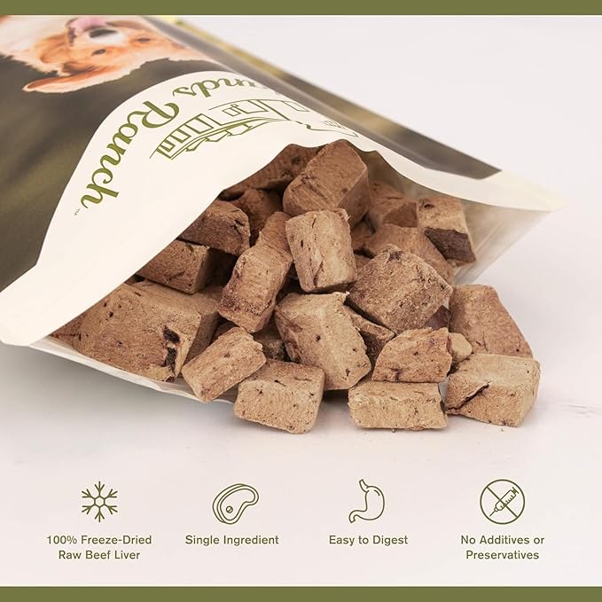 BADLANDS RANCH - Superfood Bite, Freeze-Dried Raw Dog Treats - Protein Rich, Train & Reward, Traceable Single Ingredient by Katherine Heigl (4 Ounce (Pack of 4) Beef Liver)