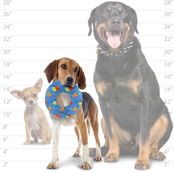 MIGHTY- NO Stuff Ring - Squeaky Plastic Core. 2-in-1 Toy. Made Durable, Strong & Tough. Interactive Play (Tug, Toss & Fetch). It Floats (Celebration, Medium 2 Pack)