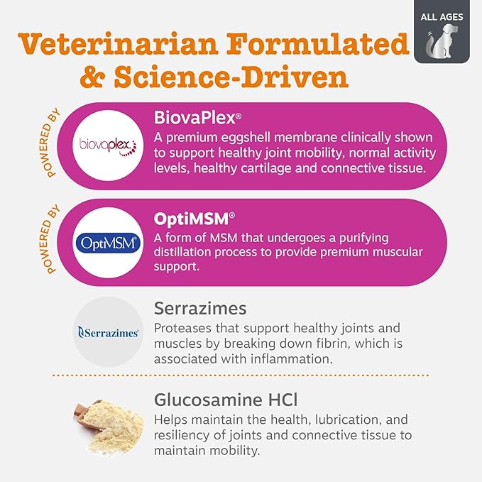 Zesty Paws Vet Strength Mobility Bites Beef & Bacon Flavor Hip & Joint Support Chews for Dogs with Glucosamine, Chondroitin, MSM, Hyaluronic Acid & Serrazimes - 90 Count