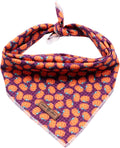 Lionet Paws Halloween Dog Bandana for Small Medium Large Dogs, Cat Dogs Kerchief Triangle Bibs Scarf Pumpkin for Girl or Boy