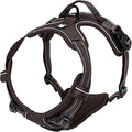 TRUE LOVE Adjustable No-Pull Dog Harness Reflective Pup Vest Harnesses Comfortable Control Brilliant Colors Truelove TLH5651(Brown,S)
