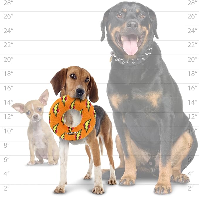 MIGHTY- NO Stuff Ring - Squeaky Plastic Core. 2-in-1 Toy. Made Durable, Strong & Tough. Interactive Play (Tug, Toss & Fetch). It Floats (Orange, Medium 2 Pack)