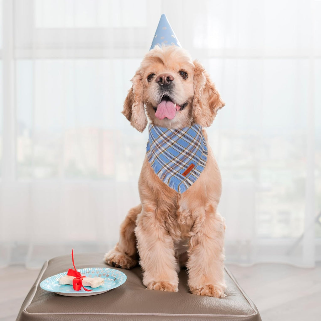 ADOGGYGO Dog Bandanas Boy with Tassels Edges, Stylish Blue Plaid Pet Scarf, Soft Cotton Fabric, Adjustable Reversible Plaid Bandanas for Small Dogs (Small)