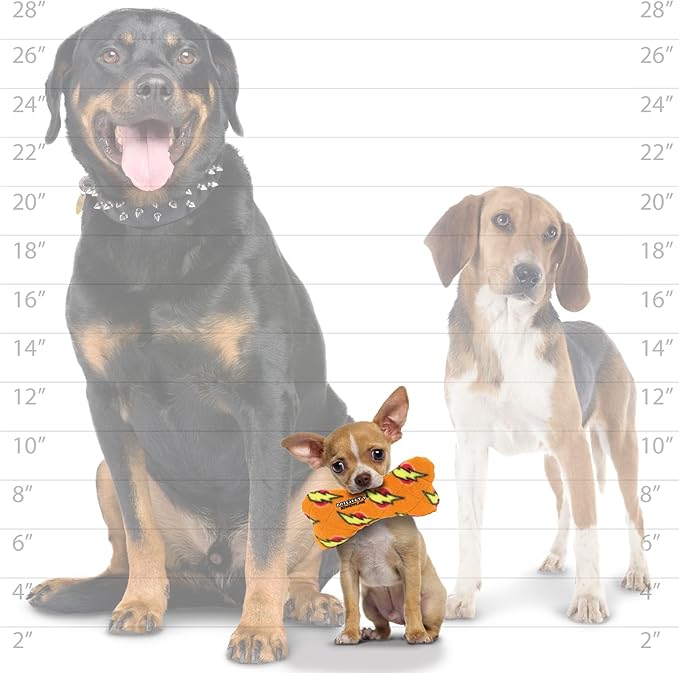 MIGHTY- NO Stuff Bone– Squeaky Plastic Core. 2-in-1 Toy. Made Durable, Strong & Tough. Interactive Play Dog Toy (Tug, Toss & Fetch). It Floats. (Orange, Medium)