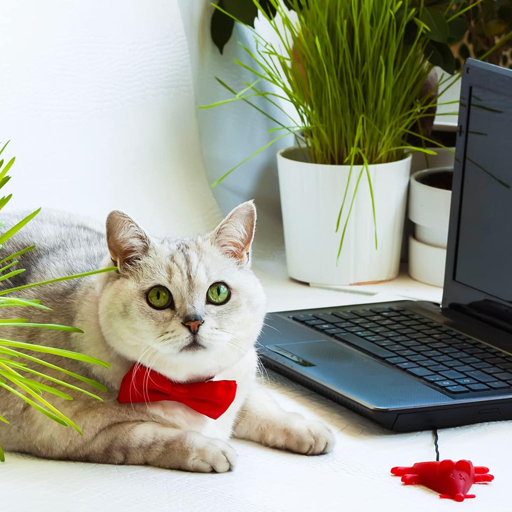 Dog Collar Bowties - 20 PCS Birthday Gift Adjustable Pet Bow Ties for Boys Girls Puppy Cats Photography Grooming Multicolor Bows(Small)