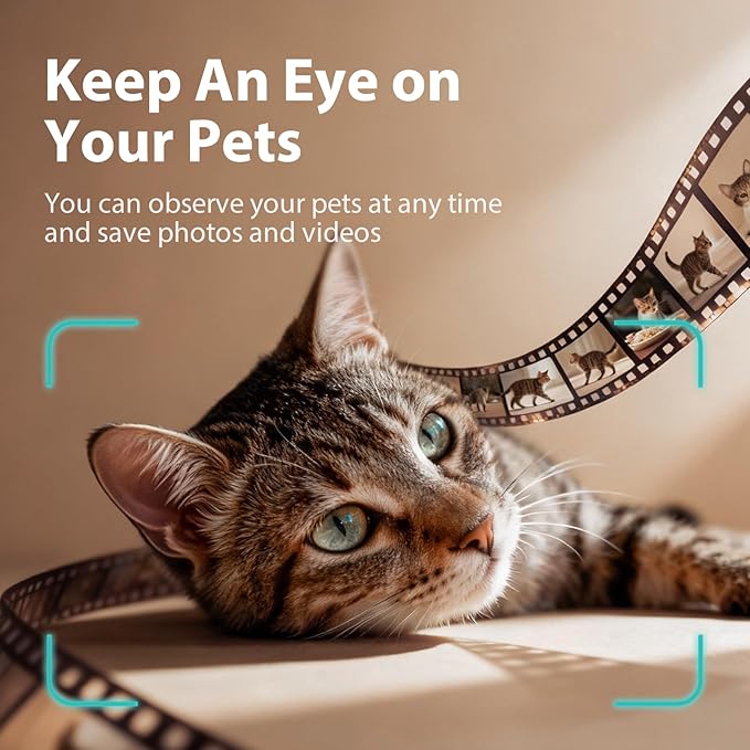 IMIPAW Automatic Cat Feeder with Camera, 1080P HD AI Pet Recognition Recording, 5G WiFi APP Remote Control, Timed Programmable Food Dispenser, Two-Way Audio, with Night Vision Function and Desiccant