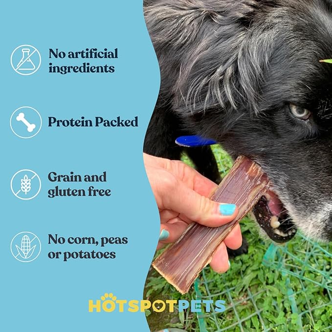 hotspot pets Beef Esophagus Dog Treats (6 INCHES) (1LB Bag) Grass Fed with No Added Hormone All Natural Jerky Dog Treats - Chews Rich in Glucosamine & Chondroitin for Joint Health