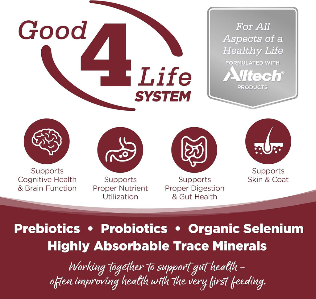 NutriSource Dry Dog Food, Beef and Rice, 4LB