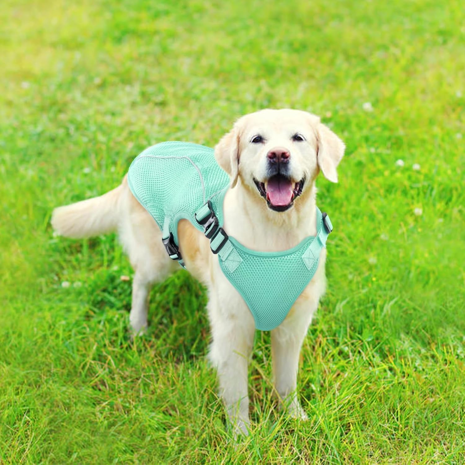 Kuoser Dog Cooling Vest Harness, Small Dog Cooler Jacket with Adjustable Buckle for Outdoor Beach, Hiking, Training Green S