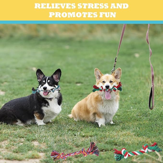 60 Pcs Multi Color Knot Rope Dog Chew Toys Puppy Rope Toy Dog Tug of War Toy Chew Toys for Small and Medium Dogs Puppies