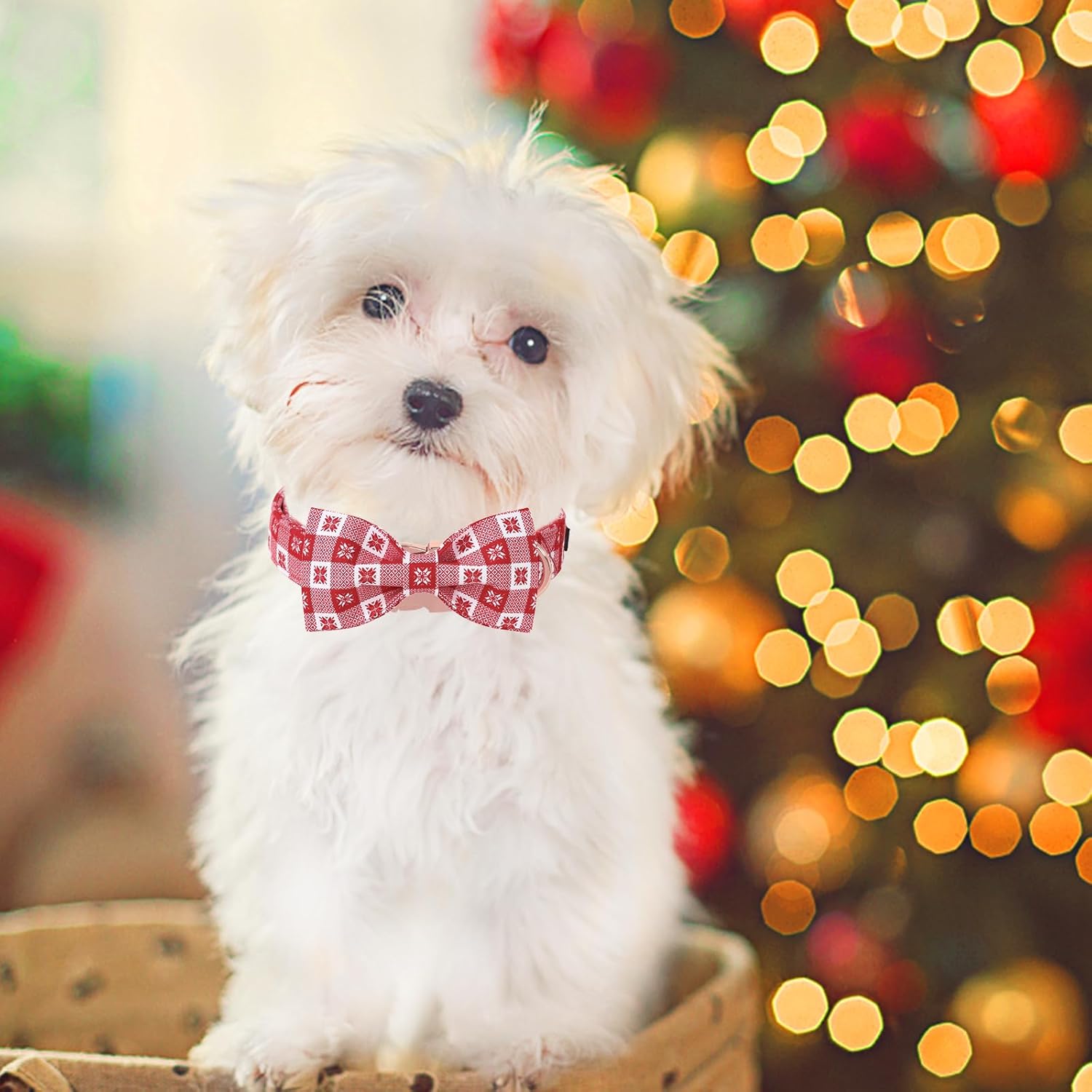 Unique Style Paws Christmas Day Dog Collar with Bow Christmas Red Papercut Cotton Puppy Collars for Small Medium Large Dogs