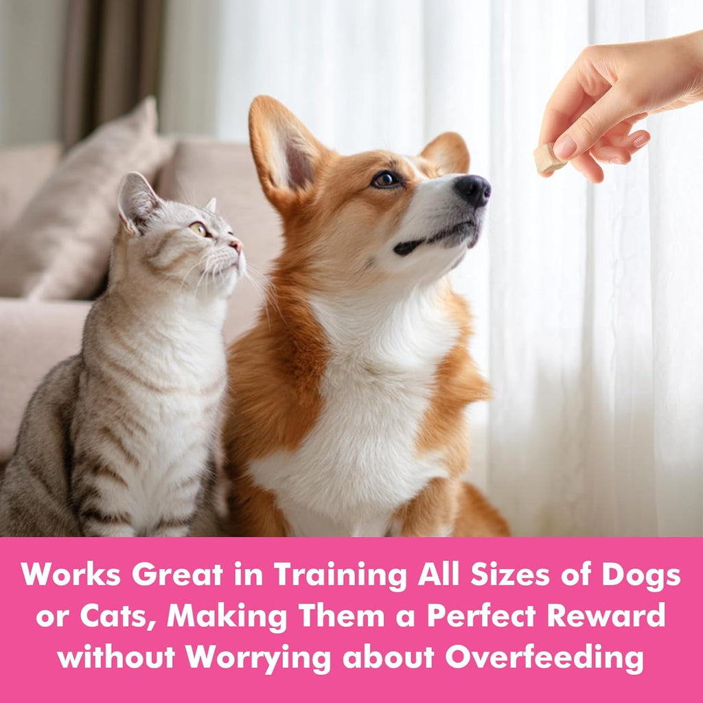 Freeze Dried Cats & Dogs Raw Treats, All Natural Single Ingredient Chicken Breast, High Protein Healthy Pet Training Treats or Food Topper, 6 oz