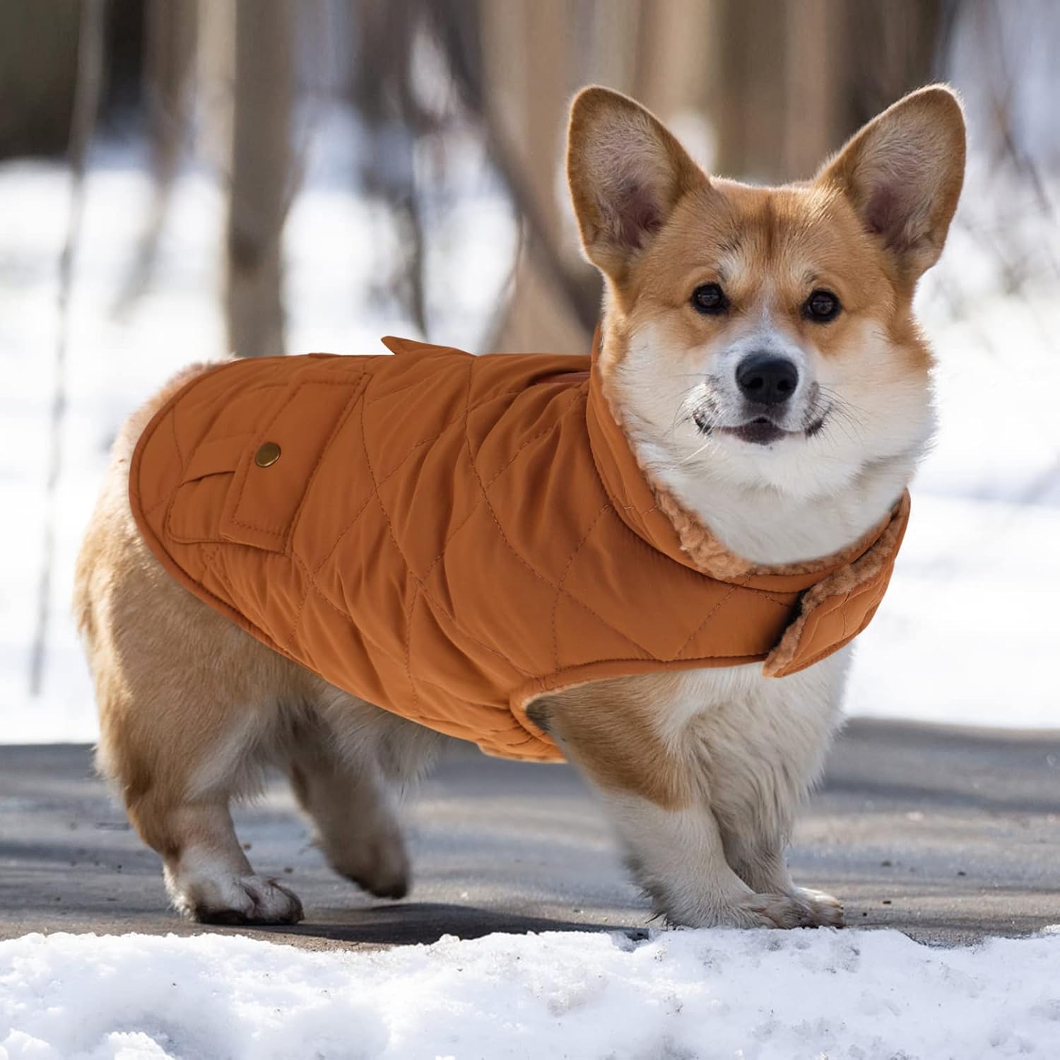 Queenmore Warm Dog Coat, Cold Weather Puffer Jacket with Ultra Thick Plush Lining and Storage Pockets (Brown, Large)