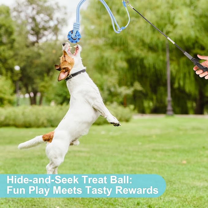 Flirt Pole for Dogs, Durable Dog Flirt Pole for Large Medium & Small Dogs, Interactive Dog Pole Toy with Rubber Ball for Outdoor/Indoor, Training, Chase, Tug of War (24 & 31 inch)