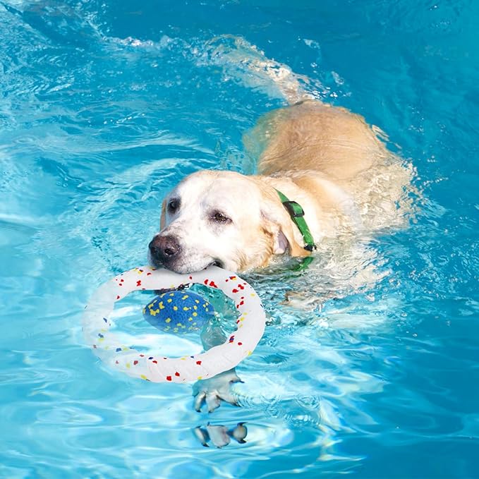 Nobleza Indestructible Fly Disc Ring Toy Set for Dog Pet, 2025 New Poncorn E-TPU Durable Puppy Fetch Outdoor Interactive Toy for Large Medium Small Aggressive Chewers, 4 PCS