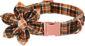 Lionet Paws Dog Collar with Flower - Cute Cotton Adjustable Flower Dog Collar with Metal Buckle for Large Dog Girl Gift, L, Neck 16-24in