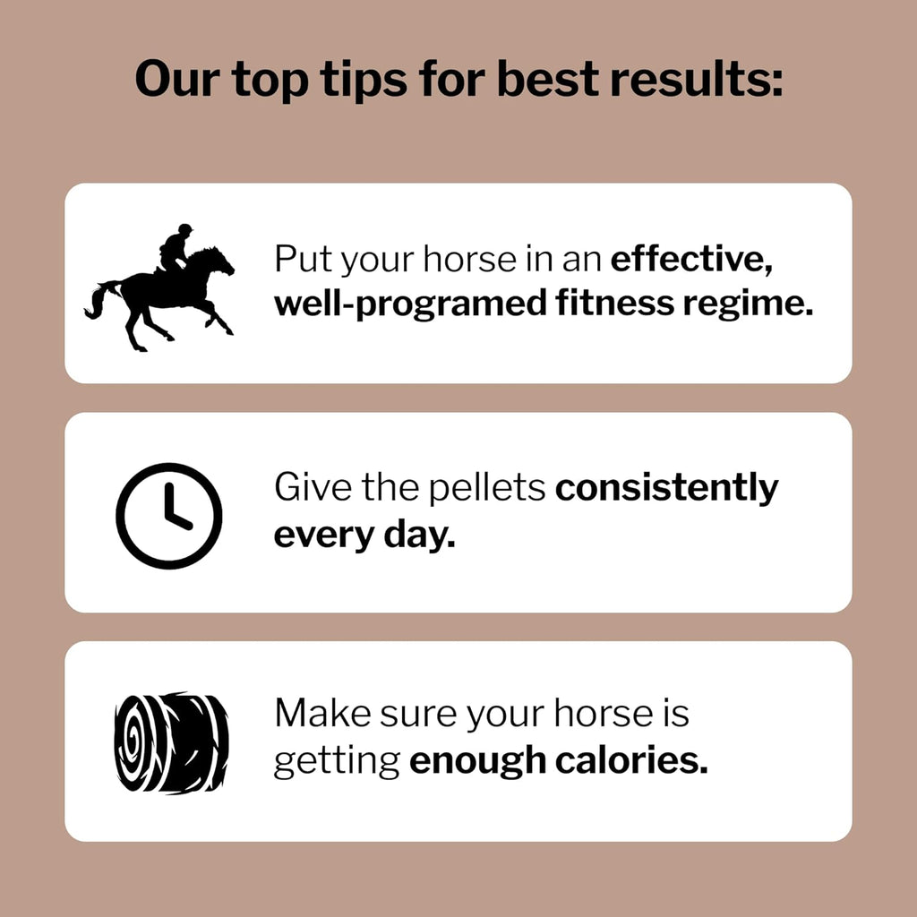 Formula 707 MuscleMx Equine Supplement, 10 lb Bag – Conditioning Support and Muscle Builder for Horses with Lysine, Gamma Oryzanol, Creatine & OKG