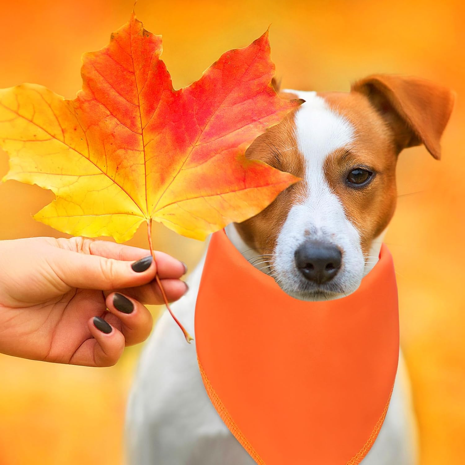 48 Pcs Thanksgiving Blank Dog Bandanas Bulk Sublimation Plain Bandanas for Dogs Heat Transfer Personalized DIY Triangle Bibs Scarf Set for Pets Fall Costume Photo Props Accessories Pet Shops