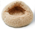 Cat Bed for Indoor Cats, Calming Cozy Cave with Self-Warming Plush, Entire Bed Machine Washable & Anti-Slip Base, Breathable Pet Bed for Small Cats&Dogs All Seasons (Apricot Color, 20 * 20inch)
