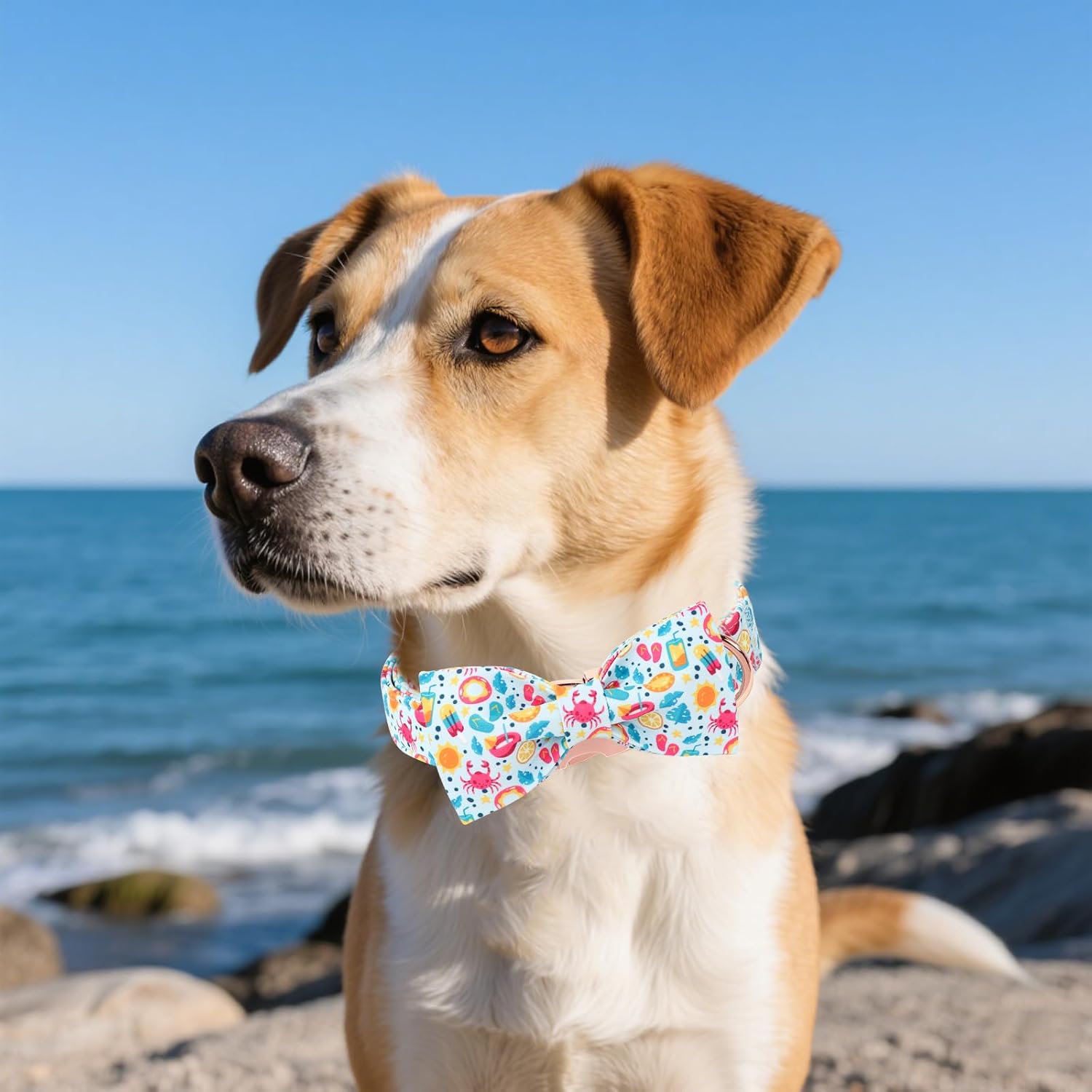 Unique style paws Cartoon Dog Collar with Bow Spring Summer Collar with Flower Lemon Crab for Small Medium Large Boys Girls Dogs