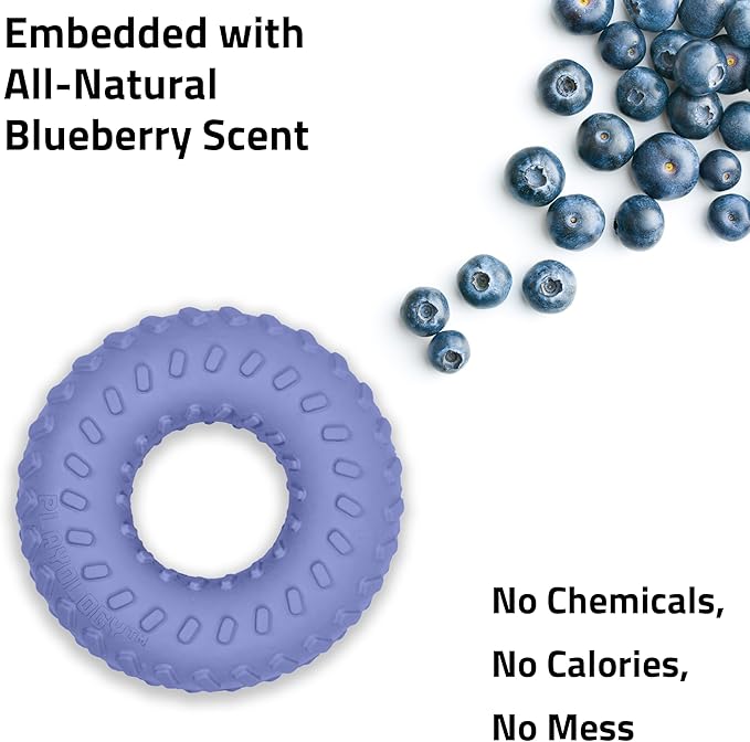 Playology Dog Toys | Dual Layer Ring Durable Chew Toy for Aggressive Chewers | Medium Blueberry Scented Toy - Easy to Clean and Made from Non Toxic Materials