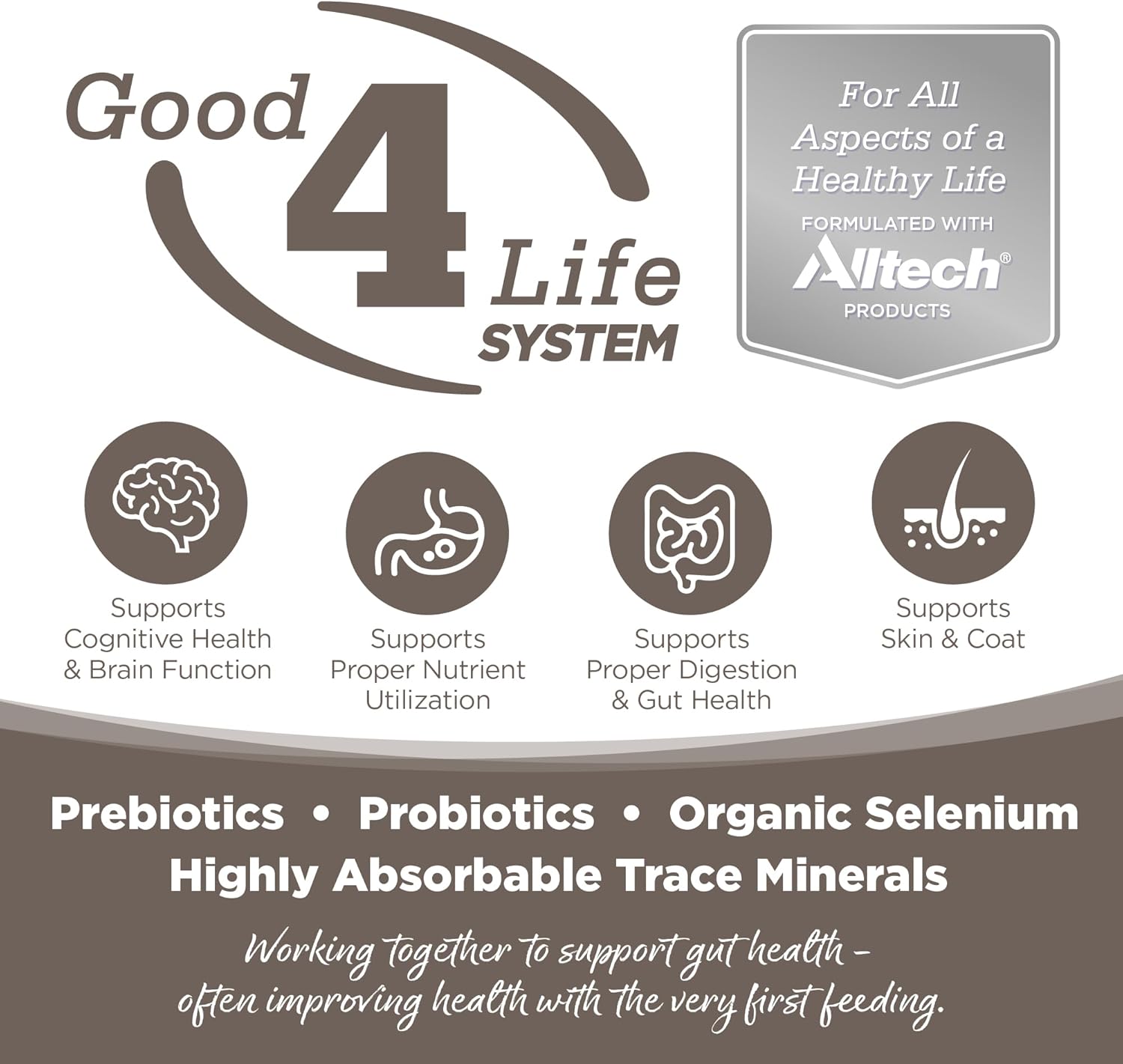 NutriSource Dry Dog Food for Seniors, Chicken and Rice, 12LB