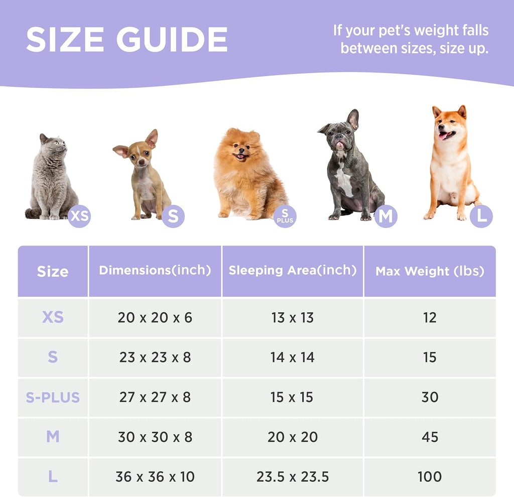 LE SURE Donut Small Dog Bed - Round Cat Beds for Indoor Cats Calming Pet Beds, Cute Modern Beds with Jacquard Shaggy Plush & Anti Slip Bottom, 23 Inch, Purple